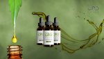 Essential CBD Extract Banner.jpg