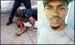 Baltimore cop resigns after video of him repeatedly punching a man who 'refused to show ID' we...JPG
