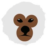 32-Monkey-image-vector-icon-cka85z.jpg